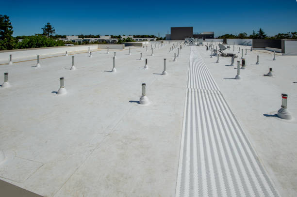 Best Roof Coating and Sealing  in Canutillo, TX